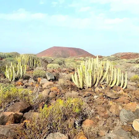 Cozy In The South Of Tenerife 아파트 *