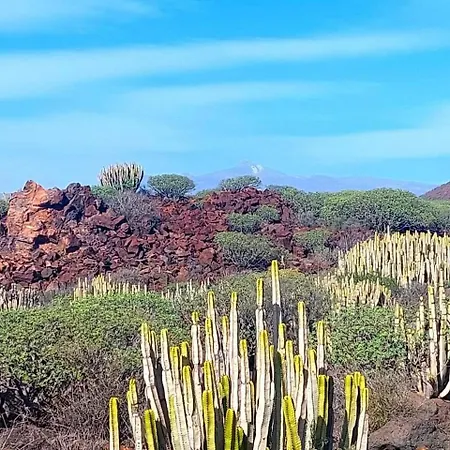 Cozy In The South Of Tenerife 아파트